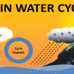 Rain Water Cycle Animation